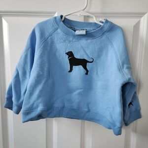Black Dog Sweatshirt